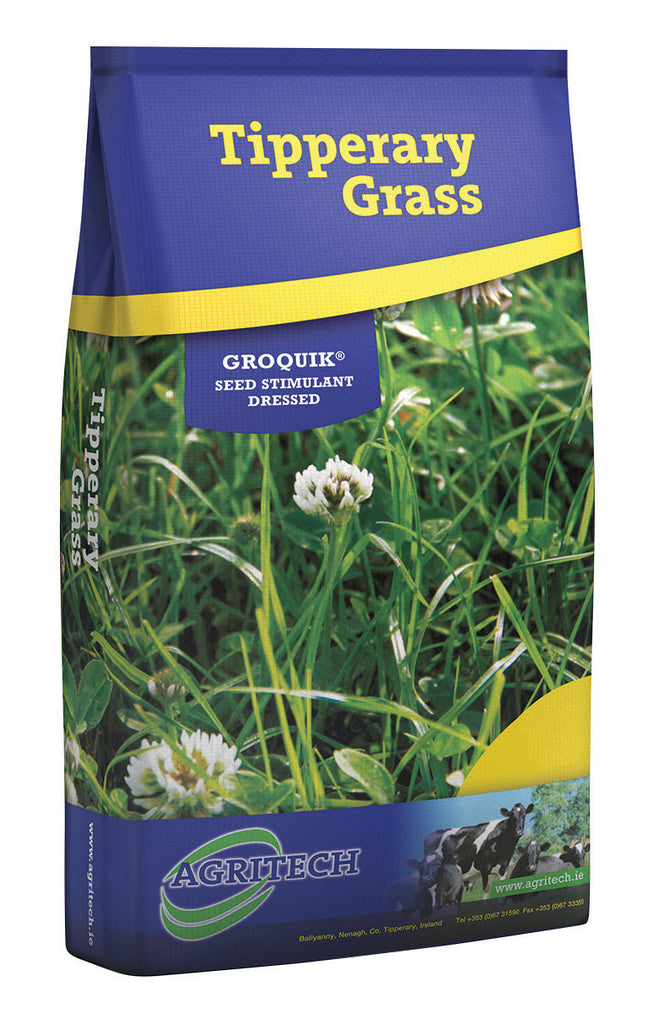 Tipperary Grass Horse Grazing