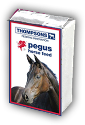 Pegus Cool Mix