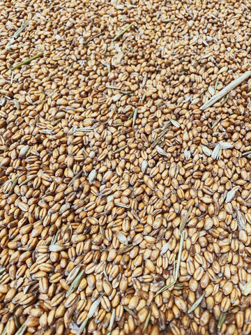 25kg Whole Wheat