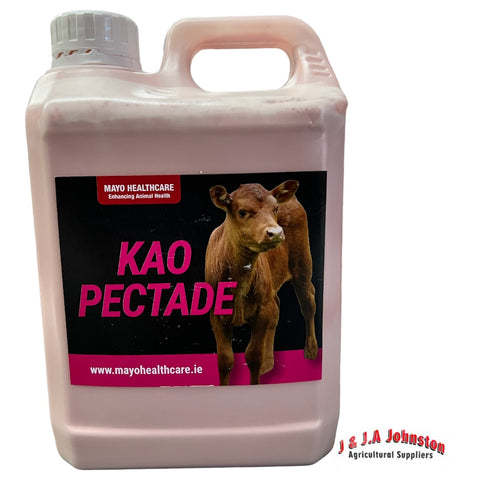 Kao Pectade calves recuperating from scour 2L