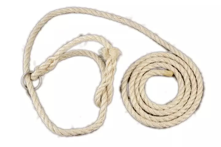 Cattle Halter Cotton with Ring