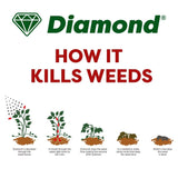 Diamond Horse Tail Weed Killer 1L