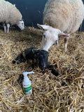 Provita Lamb Response - 100ml