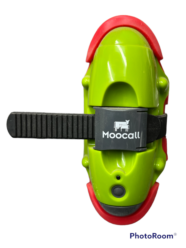 Moocall Calving Sensor